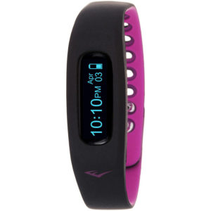 everlast gympal2 fitness tracker review