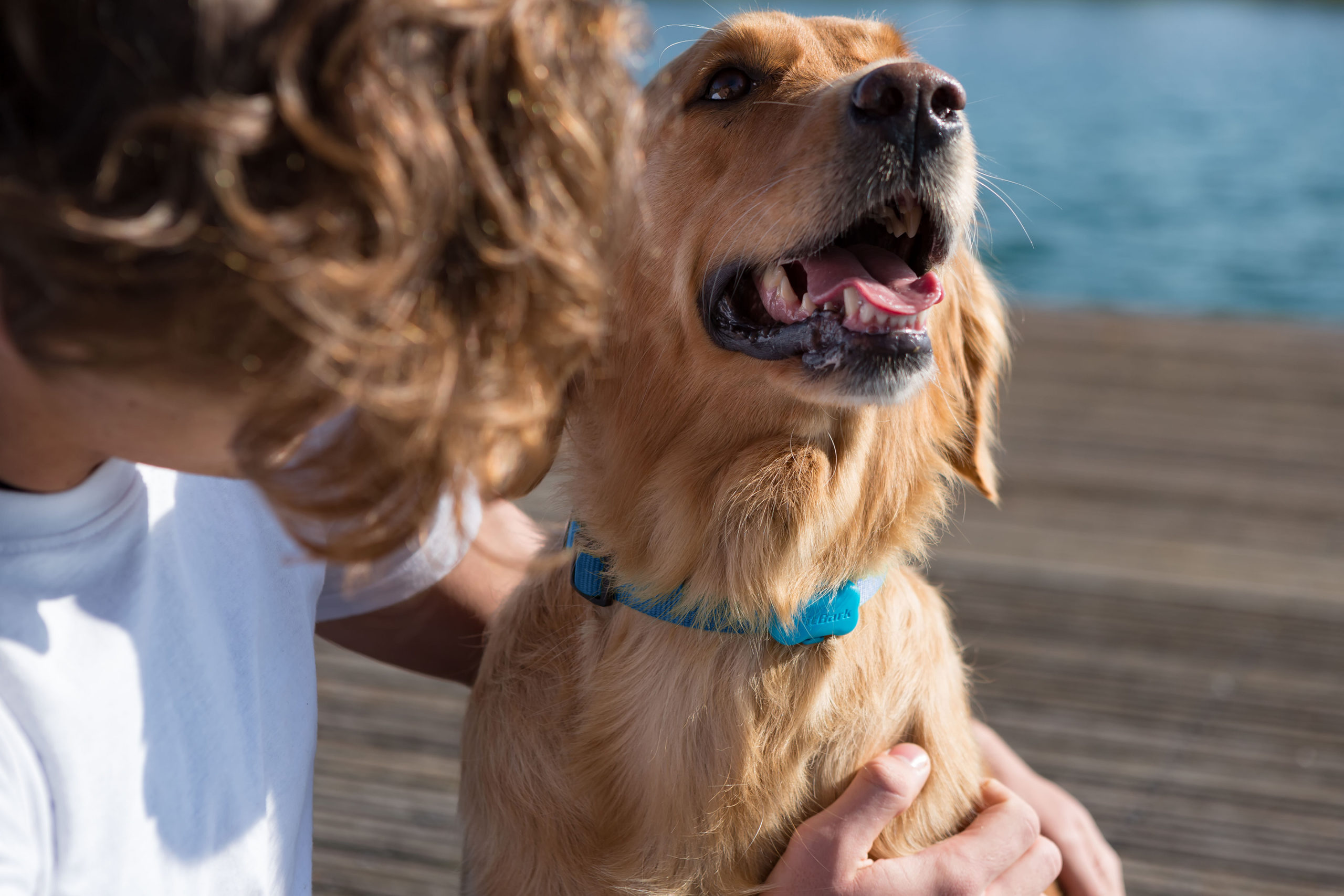 pet fitness tracker