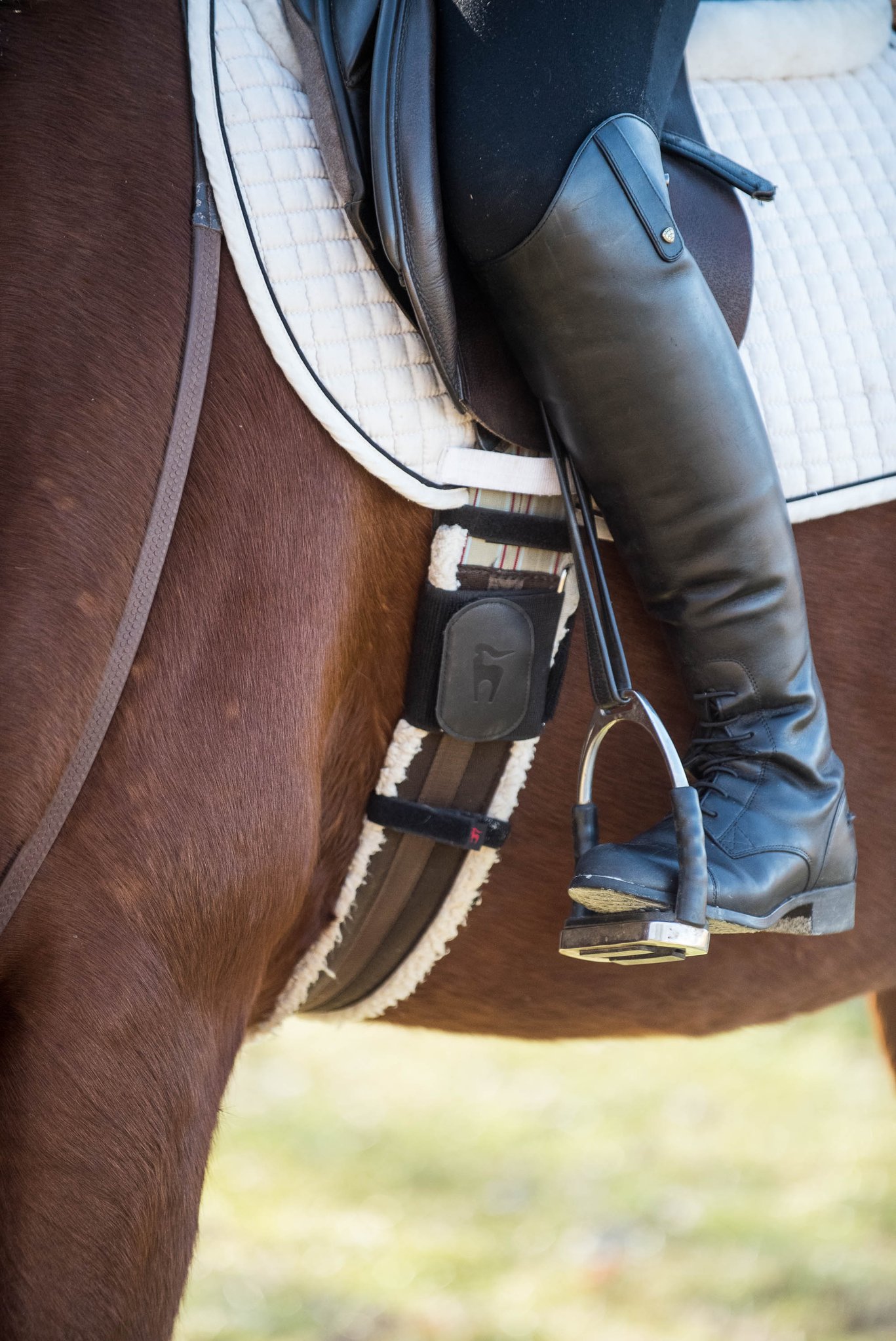 Horse Fitness Tracker - Wearable Fitness Trackers
