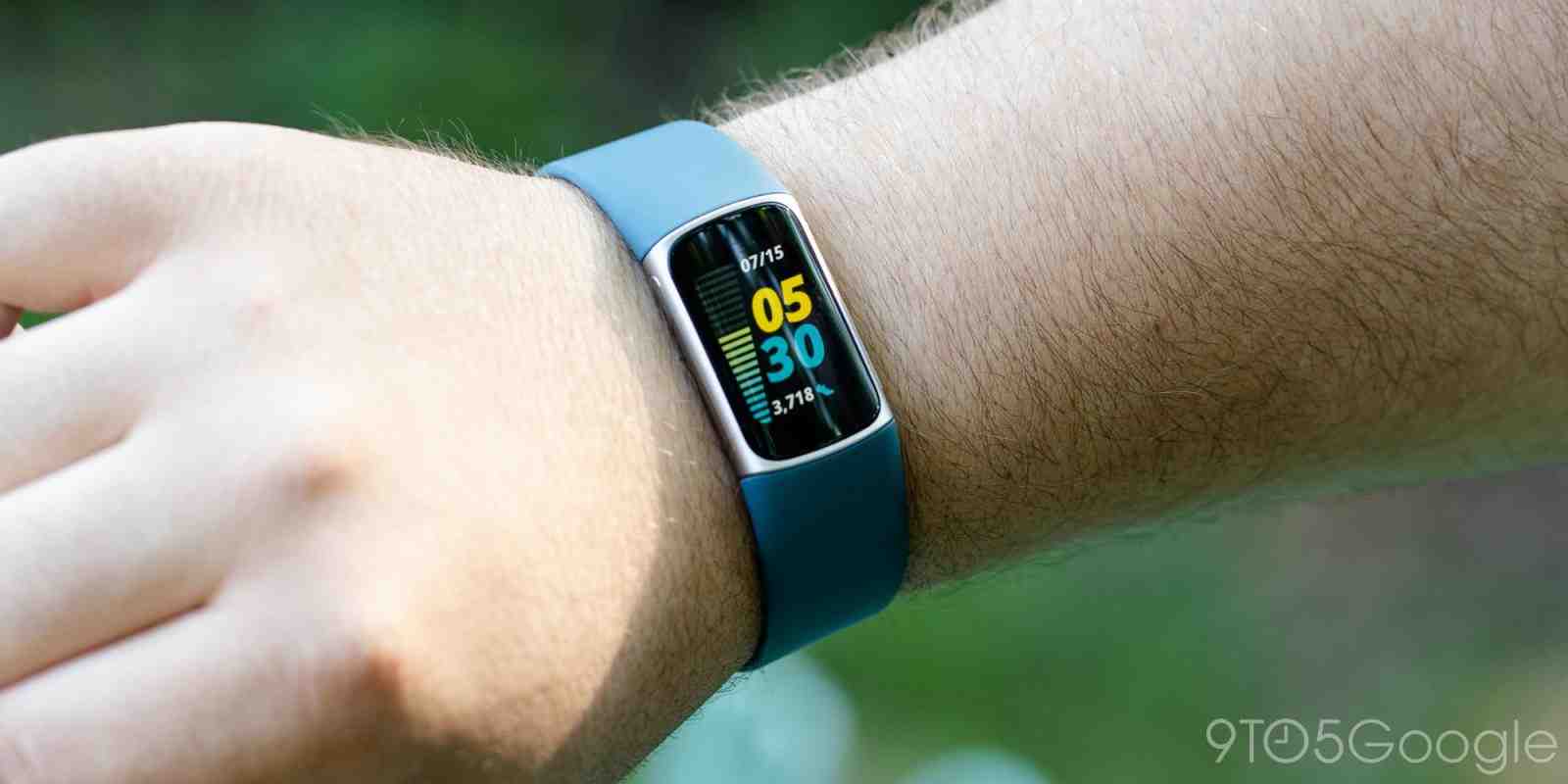 Are Fitbits worth it?