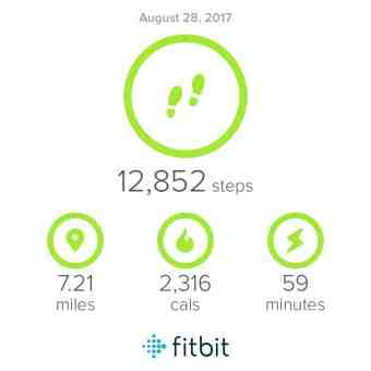 How many miles is 10000 steps?