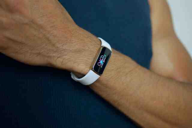 What happens if Fitbit gets too hot?