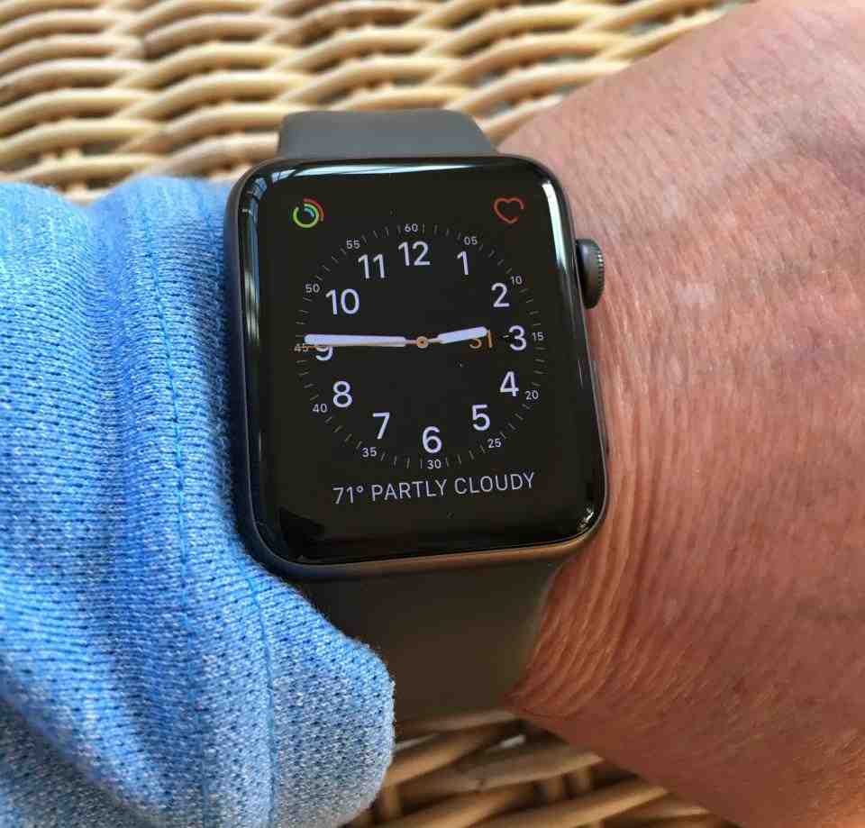 What are the differences between the Apple Watch 6 and SE?