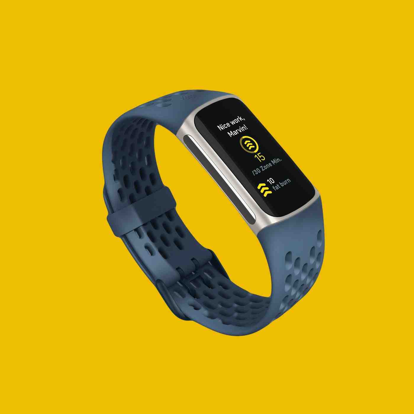 Whats the difference between Fitbit free and premium?